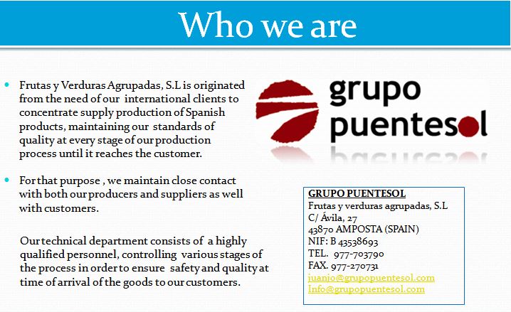 Grupo Puentesol >  > Company